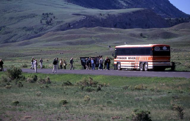 Tourists at the north entrance to Yellowstone National Park Picture