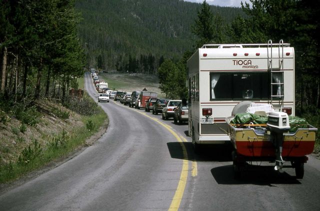 Traffic jam due to logging operation Picture