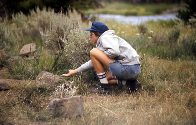 Visitor holding out handful of food for unseen ground squirrel Picture