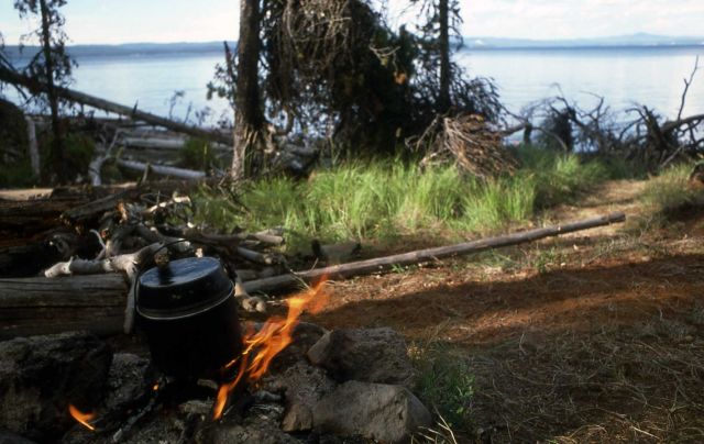 Backcountry camp on the shore of Yellowstone Lake Picture
