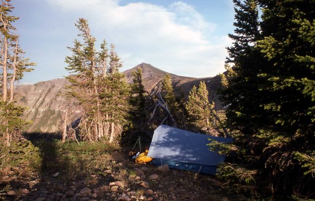 Backcountry campsite, Mt Langford in background Picture