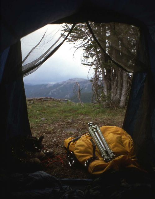 View out of a tent Picture