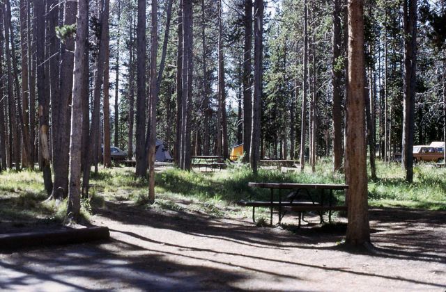 Bridge Bay campground Picture