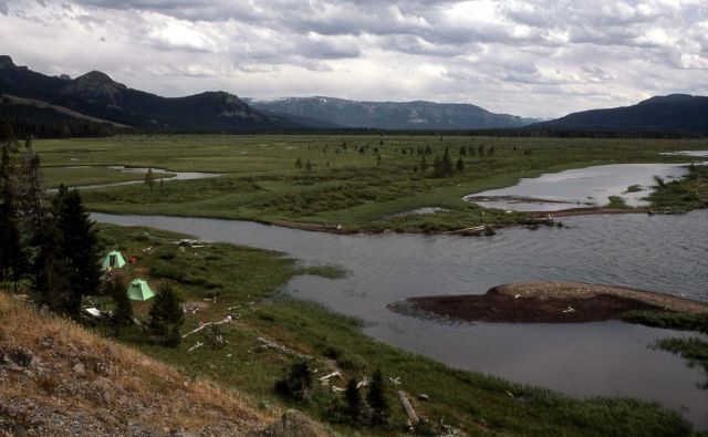 Tents at backcountry campsite near Beaverdam Creek on the southeast arm of Yellowstone Lake Picture