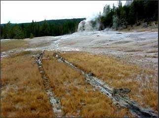 Lone Star geyser damage Picture
