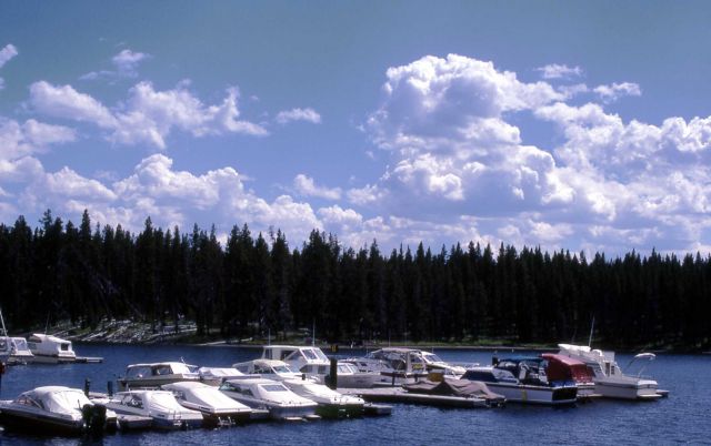 Bridge Bay Marina Picture
