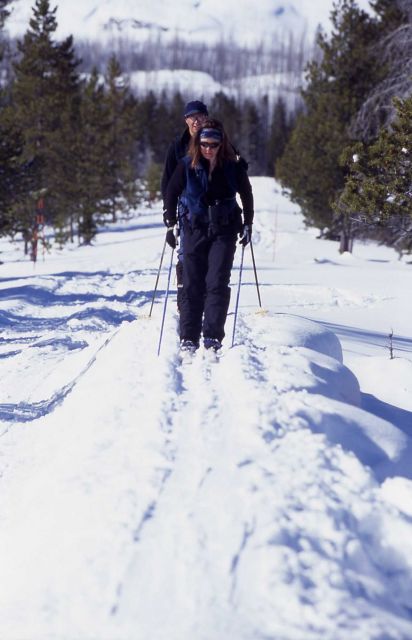 Cross country skiing in the Upper Geyser Basin in the winter Picture