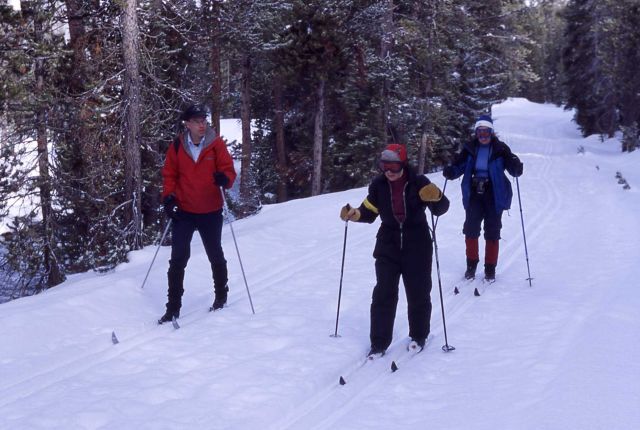 Cross country skiers on Lone Star trail in the winter Picture