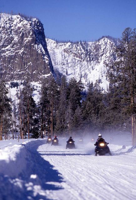 Snowmobiles on West Entrance road Picture