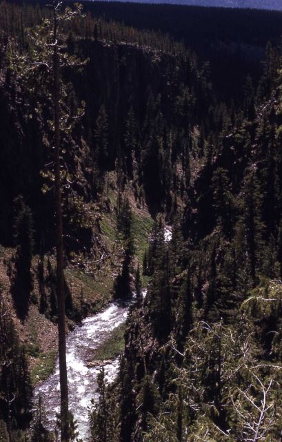 Lewis River Canyon Picture