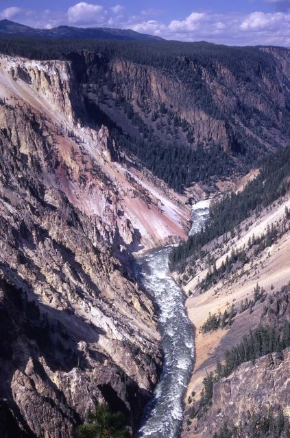 Grand Canyon of Yellowstone & the Yellowstone River as seen from Artist Point Picture