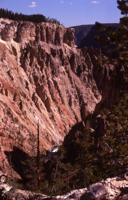 Grand Canyon of Yellowstone & the Yellowstone River Picture