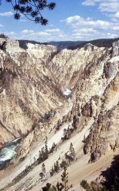 Grand Canyon of Yellowstone & the Yellowstone River Picture