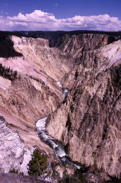 Grand Canyon of Yellowstone & the Yellowstone River Picture