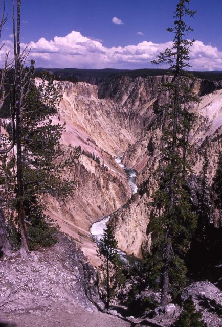 Grand Canyon of Yellowstone & the Yellowstone River Picture