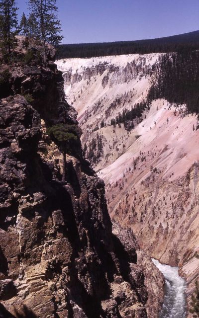 Grand Canyon of Yellowstone & the Yellowstone River as seen from Point Sublime trail Picture