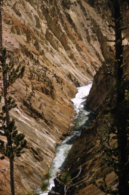 Grand Canyon of Yellowstone & the Yellowstone River as seen from Moran shoulder, Artist Point Picture