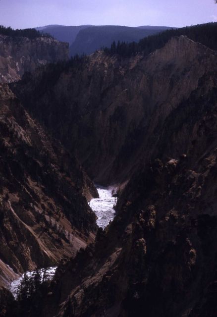 Grand Canyon of Yellowstone & the Yellowstone River Picture