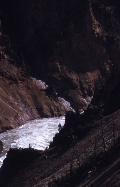 Grand Canyon of Yellowstone & the Yellowstone River Picture