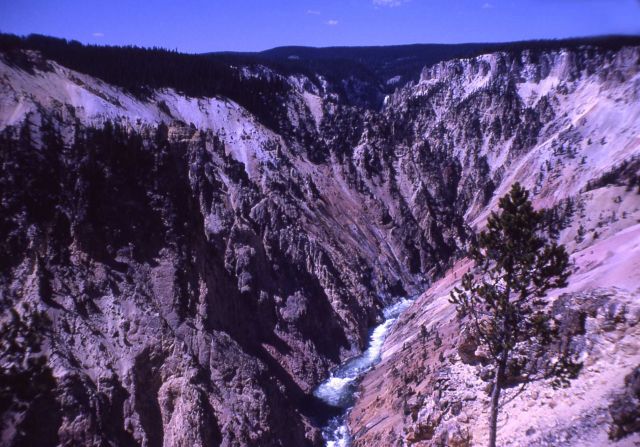 Grand Canyon of Yellowstone & the Yellowstone River Picture
