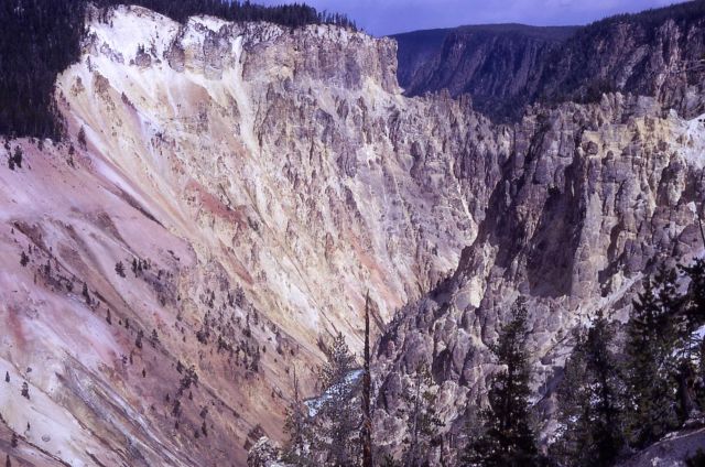Grand Canyon of Yellowstone & the Yellowstone River as seen from Artist Point Picture