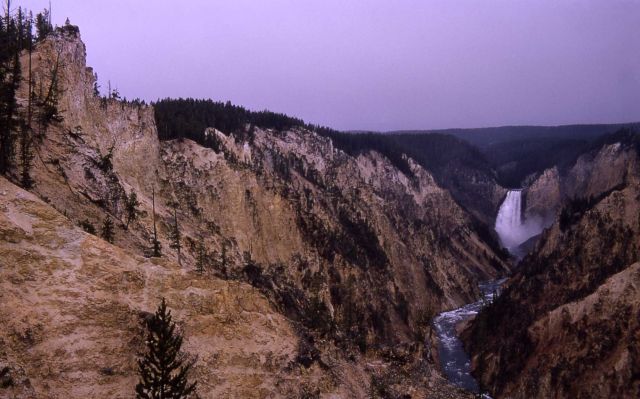 Grand Canyon of Yellowstone, Yellowstone River & the Lower Falls Picture