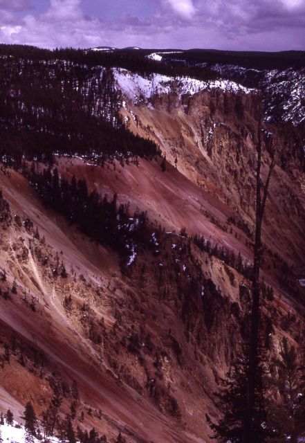 Grand Canyon of Yellowstone Picture