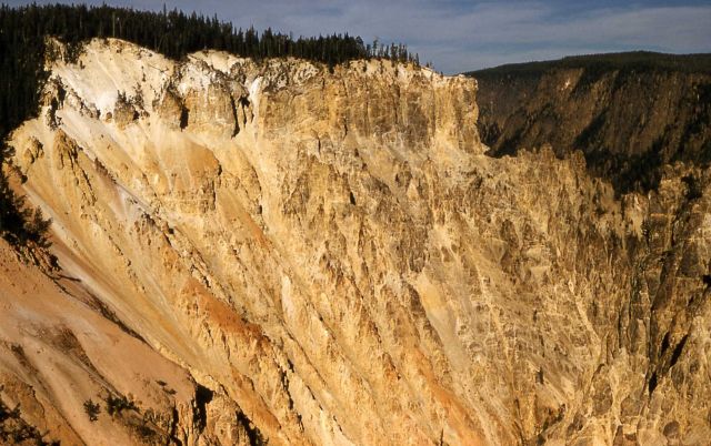 Grand Canyon of Yellowstone as seen from Artist Point Picture