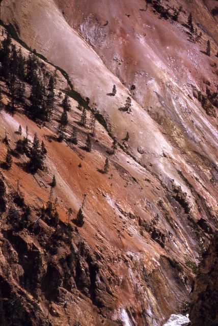 Grand Canyon of Yellowstone Picture
