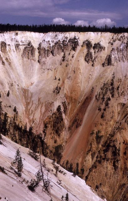 Grand Canyon of Yellowstone Picture