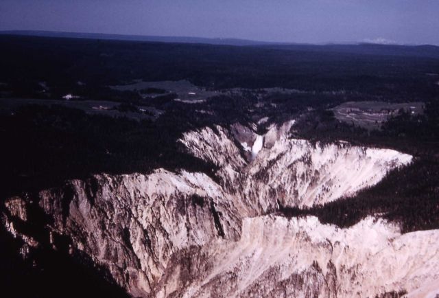 Top of the Grand Canyon of Yellowstone Picture