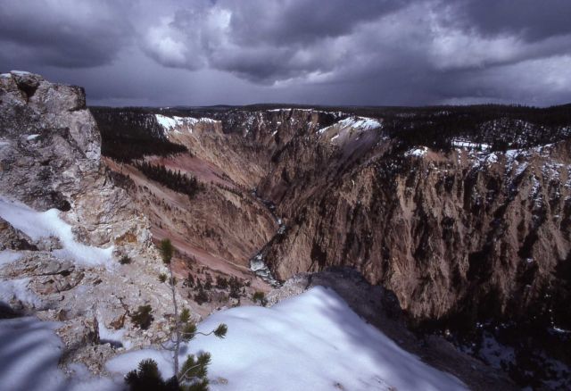 Grand Canyon of Yellowstone in the spring Picture