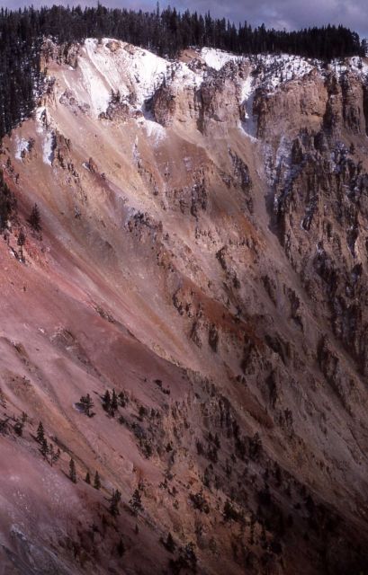 Grand Canyon of Yellowstone Picture