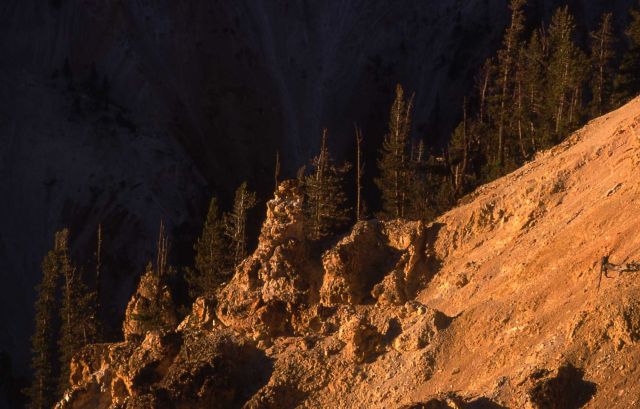 Grand Canyon of Yellowstone Picture