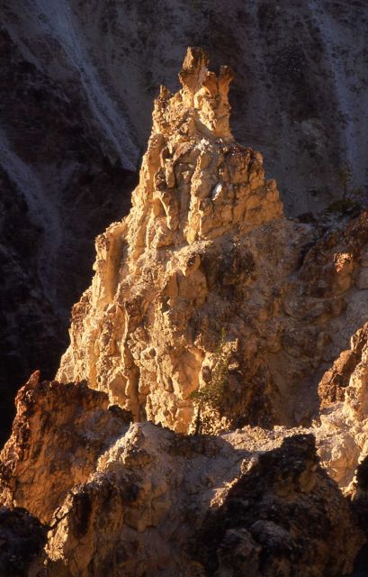 Grand Canyon of Yellowstone Picture