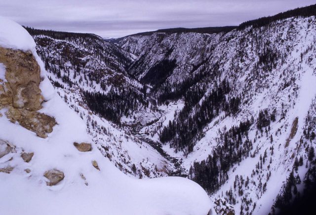Grand Canyon of Yellowstone in the winter Picture