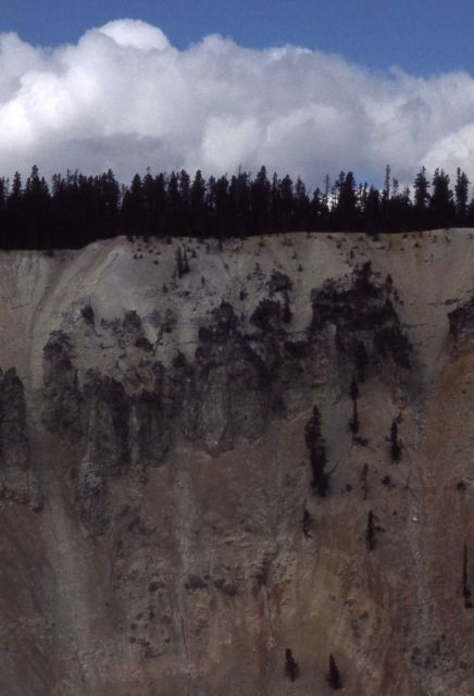 Wall of the Grand Canyon of Yellowstone near Tower Picture