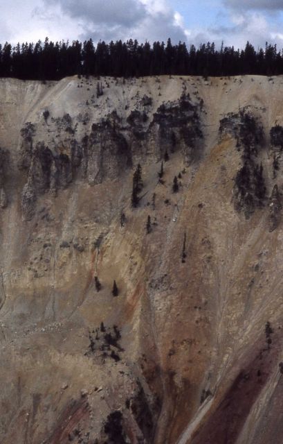 Wall of the Grand Canyon of Yellowstone Picture