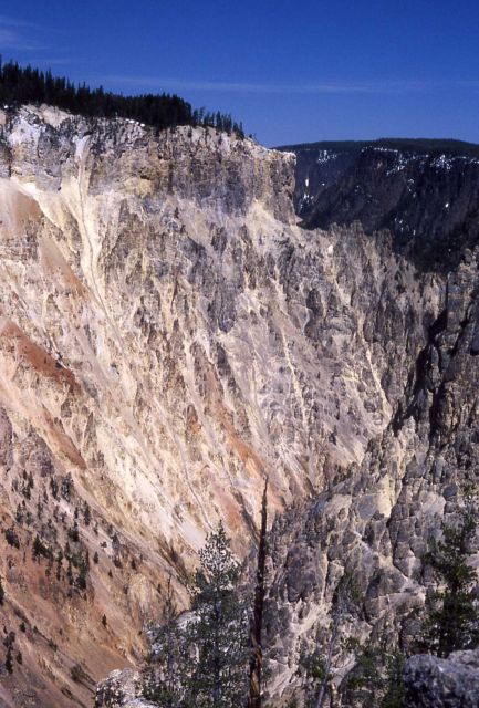 Wall of the Grand Canyon of Yellowstone Picture
