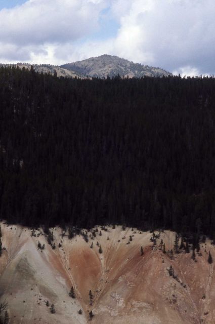 Wall of the Grand Canyon of Yellowstone Picture