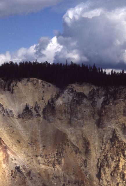 Wall of the Grand Canyon of Yellowstone Picture