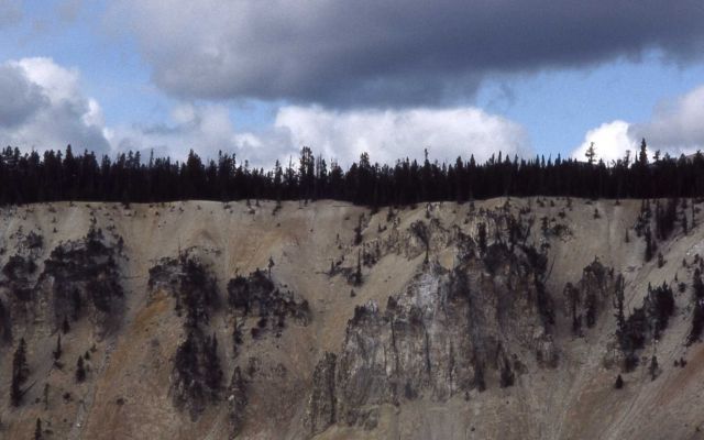 Wall of the Grand Canyon of Yellowstone Picture