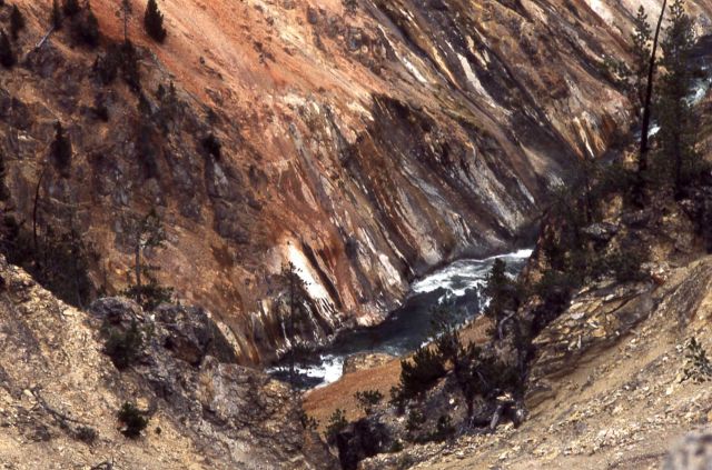 Wall of the Grand Canyon of Yellowstone & the Yellowstone River Picture