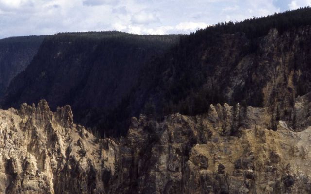 Wall of the Grand Canyon of Yellowstone Picture