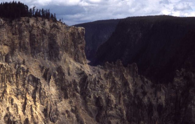 Wall of the Grand Canyon of Yellowstone Picture