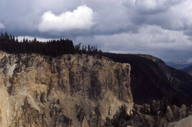 Wall of the Grand Canyon of Yellowstone Picture