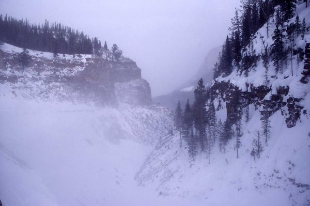 Golden Gate in the winter Picture