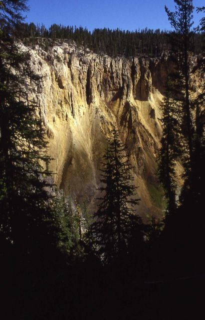 Wall of the Grand Canyon of Yellowstone Picture