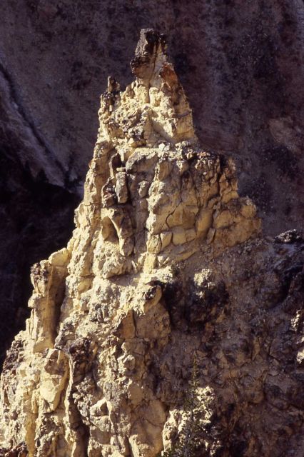 Spire in the Grand Canyon of Yellowstone Picture
