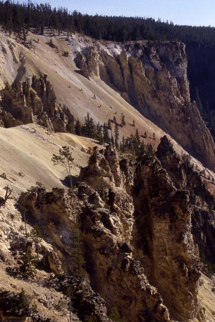 Wall & spires in the Grand Canyon of Yellowstone Picture